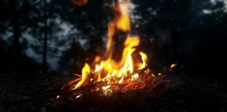 Хакасия и Красноярский край — лидеры по площади лесных пожаров в России