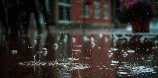 Красноярцам обещают потепление до +13°C