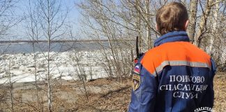 Прохожие спасли мужчину, бросившегося в Томь спасать собаку