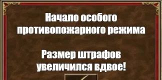 Штрафы до ₽400 тысяч. В Красноярском крае ввели особый противопожарный режим