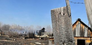 Три девочки в Лесогорске развели костёр и спалили 15 надворных построек