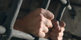 В Иркутске осудили наёмного убийцу, 20 лет назад убившего женщину из-за квартиры