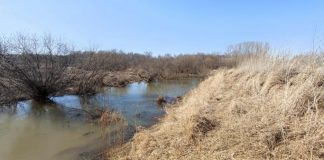 В Новосибирской области нашли тело утонувшей девочки