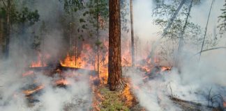 В Прибайкалье начали пожароопасный сезон
