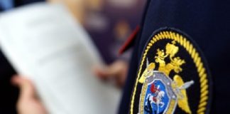 В Северске собака покусала двух детей. СК проводит проверку
