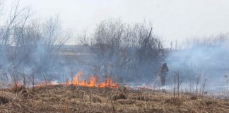 В Томске пожарные тушили прошлогоднюю траву на площади 100 «квадратов»