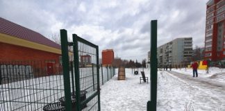 В Томске установят контейнеры для уборки за животными