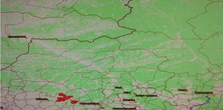 В Томской области объявлен пожароопасный сезон