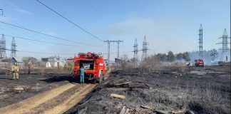 В Усольском районе сгорело девять дачных домов