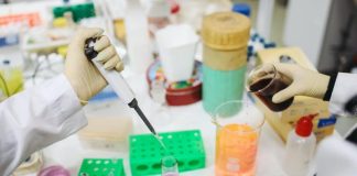В Красноярском крае новый штамм коронавируса. Его нашли в 70% проб