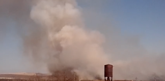 В Минусинске огонь от горящей травы перекинулся на кладбище. Видео