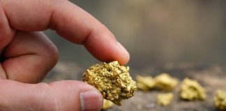 Житель Красноярья нашёл золотой песок и самородки на 6 миллионов. Ему грозит колония