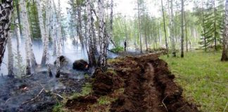 17 пожаров потушили в Прибайкалье за сутки, 10 локализовано, 5 действует