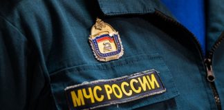 Совет Федерации поддержал кандидатуру Александра Куренкова на должность главы МЧС России