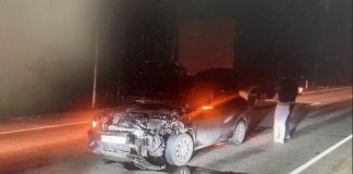 Автомобиль насмерть сбил медведя в Братском районе