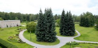 Ботанический сад в Академгородке снова стал платным