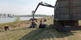 Два скелета человека нашли при уборку на Чертугеевском полуострове