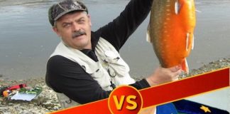 Юридические парадоксы как коррупциогенный фактор правосудия