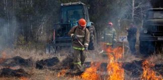 Губернатор Новосибирской области ужесточит наказание для поджигателей травы