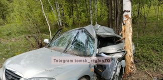 Hyundai врезался в дерево на автодороге Томск – Самусь. Водитель погиб
