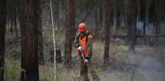 Иркутская область вышла в лидеры РФ по площади лесных пожаров