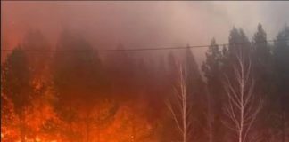 Лесной пожар на километр не дошёл до деревни в Зиминском районе