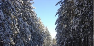 Мельничный тракт: куда едем?
