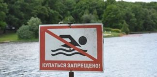 На водоёмах Томской области с начала года погибли четыре человека