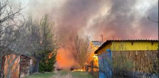 Пожар в садоводстве Братского района устроила дачница, сжигавшая траву