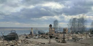 Пожарный апокалипсис в Красноярском крае. Выводы начистоту