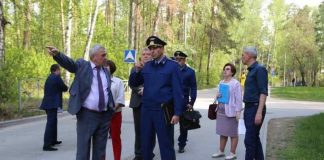 Прокуратура Новосибирской области выявила нарушения законодательства об использовании лесов