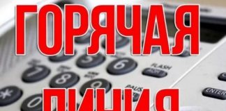 Прокуратура Томской области 24 мая проведёт «горячую линию» по организации питания детей