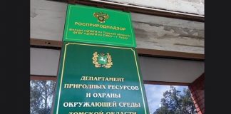 Суд обязал департамент природных ресурсов Томской области извлечь из Оби водонапорную башню