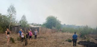 Три населённых пункта спасли от перехода лесного пожара в Прибайкалье