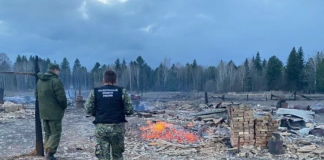 Трёх человек задержали после гибели людей из-за пожаров в Красноярском крае