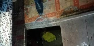 У жителя Томской области изъяли 400 граммов марихуаны и 10 – гашиша