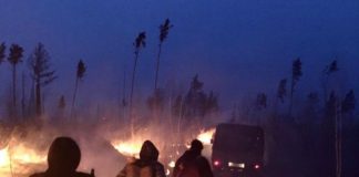 В Иркутской области за сутки ликвидировали 17 лесных пожаров