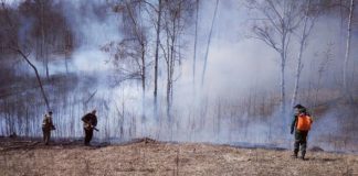 В лесном фонде Прибайкалья за сутки потушили 23 пожара