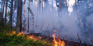 В нескольких районах Бурятии объявлен высокий класс пожарной опасности