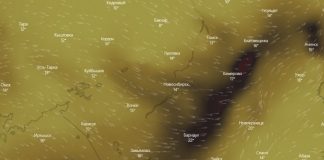 В Новосибирске зафиксирована повышенная концентрация углекислого газа