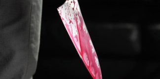 В Новосибирской области 28-летний мужчина расправился с женой и с её любовником