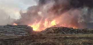 В Томской области за сутки произошло 9 лесных пожаров, горели пилорама и жилые дома