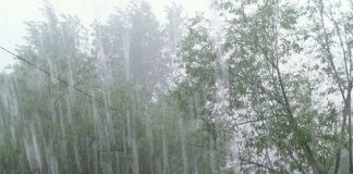 В Томскую область идёт ненастье: дожди, грозы, мокрый снег и гололёд