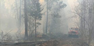 В Зиминском районе пожарные спасли село Буря