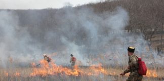 Власти продлили противопожарный режим в Новосибирской области