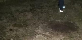 В Канске пропавшую 8-летнюю девочку нашли мёртвой в септике