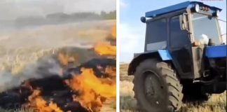 В Красноярском крае поймали мужчину, который трактором поджигал траву в поле. Видео
