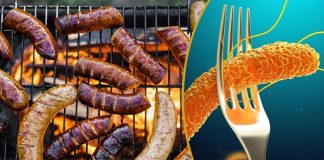 Выбраковка! Сочные колбаски с сальмонеллой и кишечной палочкой от «Сибагро» и «Командора»