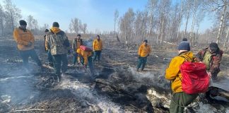За сутки с 1 по 2 мая в лесах Томской области ликвидированы четыре пожара