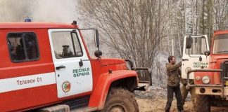 За сутки в Прибайкалье площадь пожаров в лесах снизилась на треть